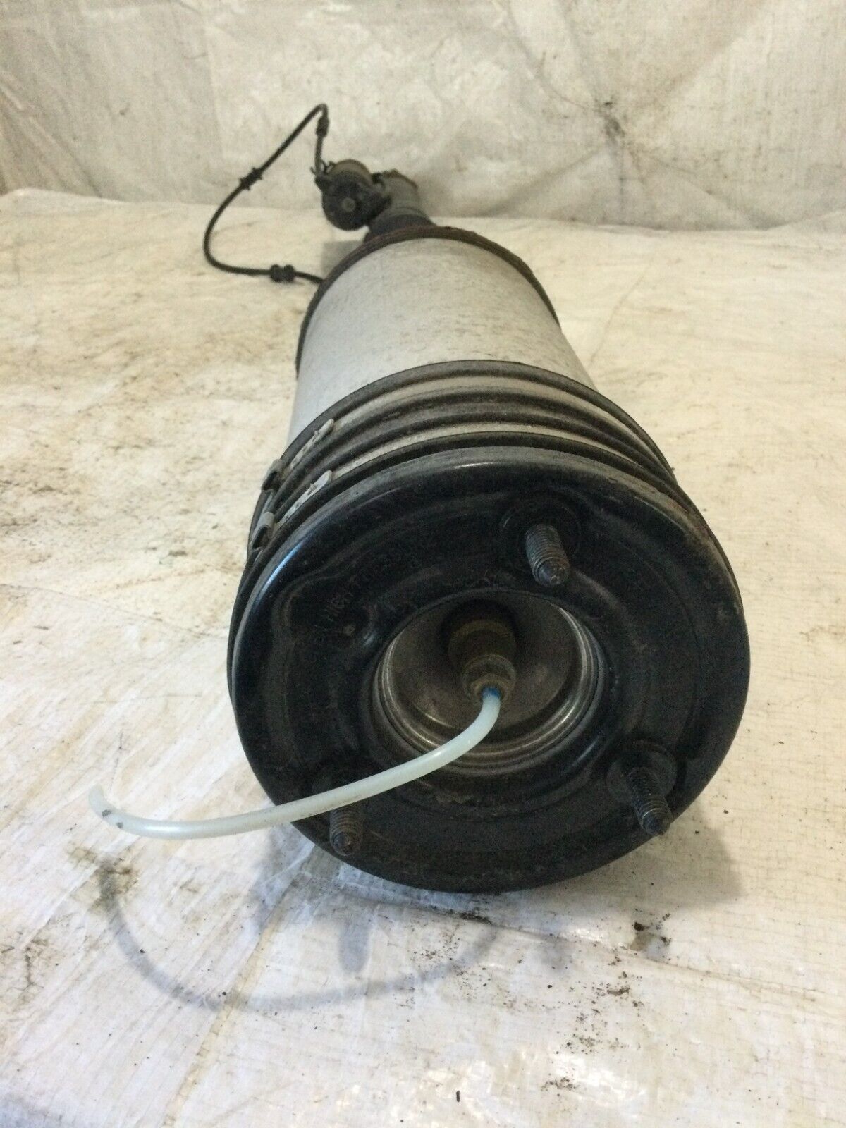 2004 Mercedes-Benz S-Class Rear Left  SHOCK ABSORBER C08605405 OEM