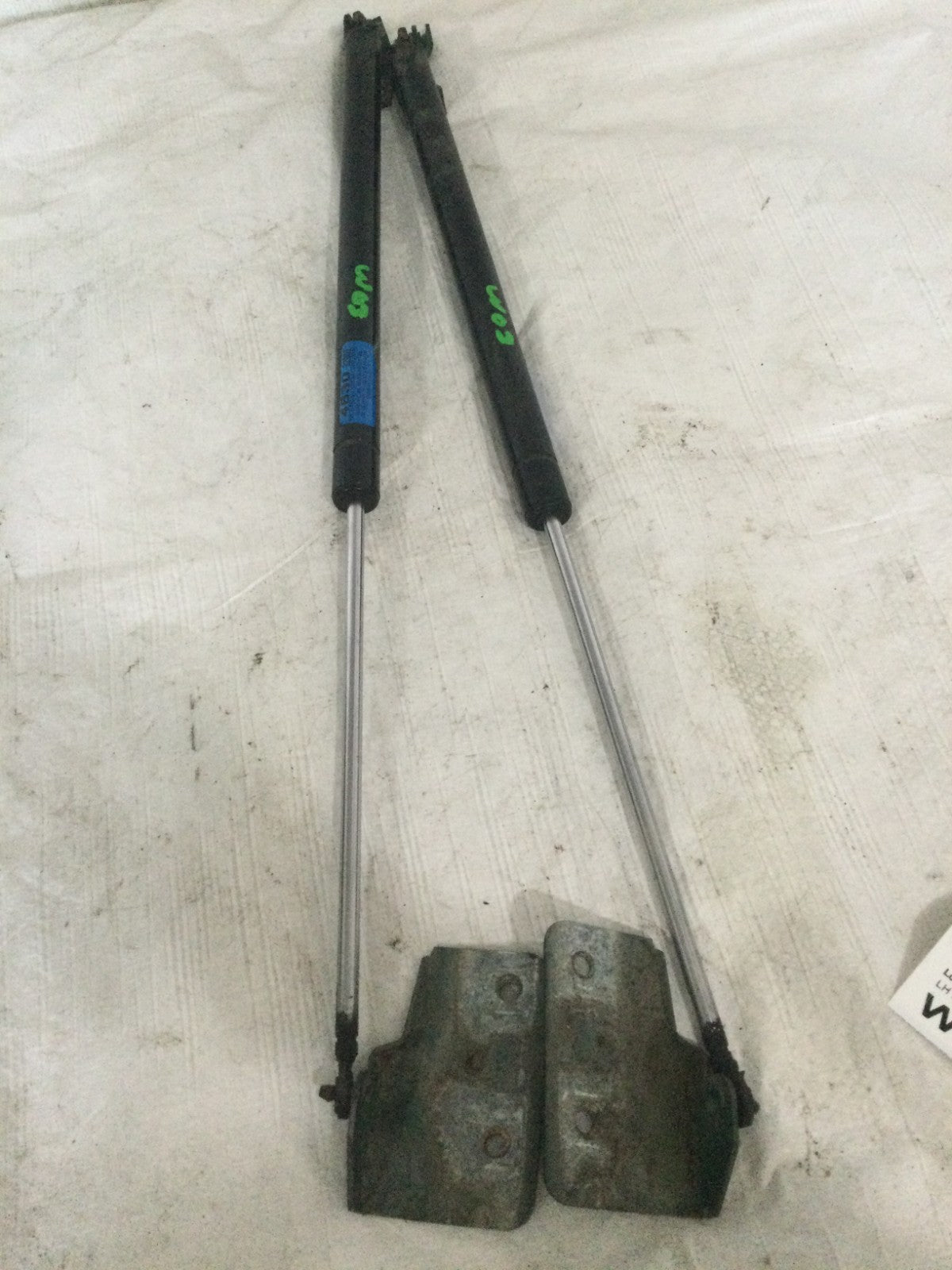 1997 Cadillac Seville Hood Lift Supports Struts OEM