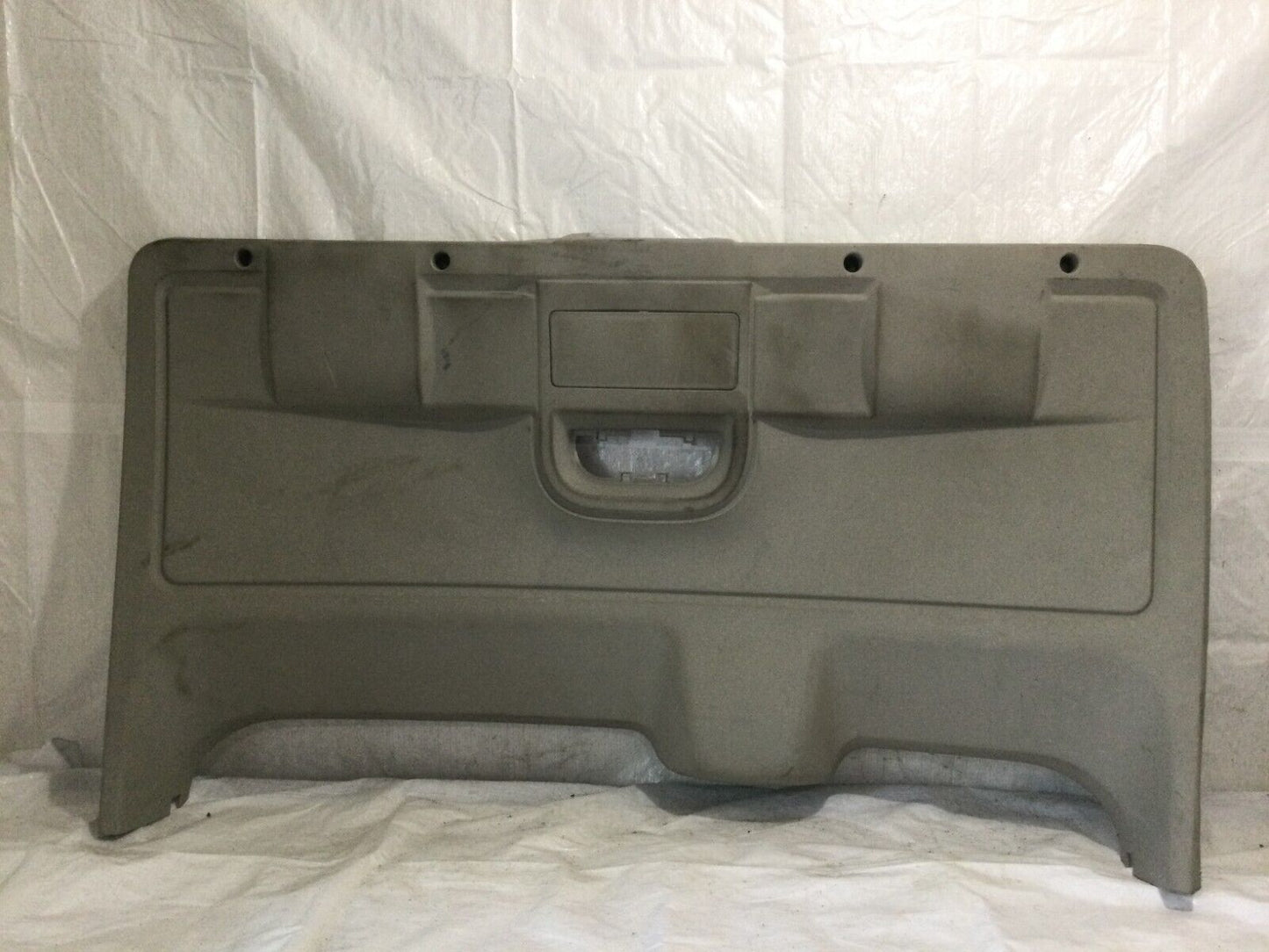 2017-2019 Dodge Grand Caravan Lower Lift Gate Panel OEM