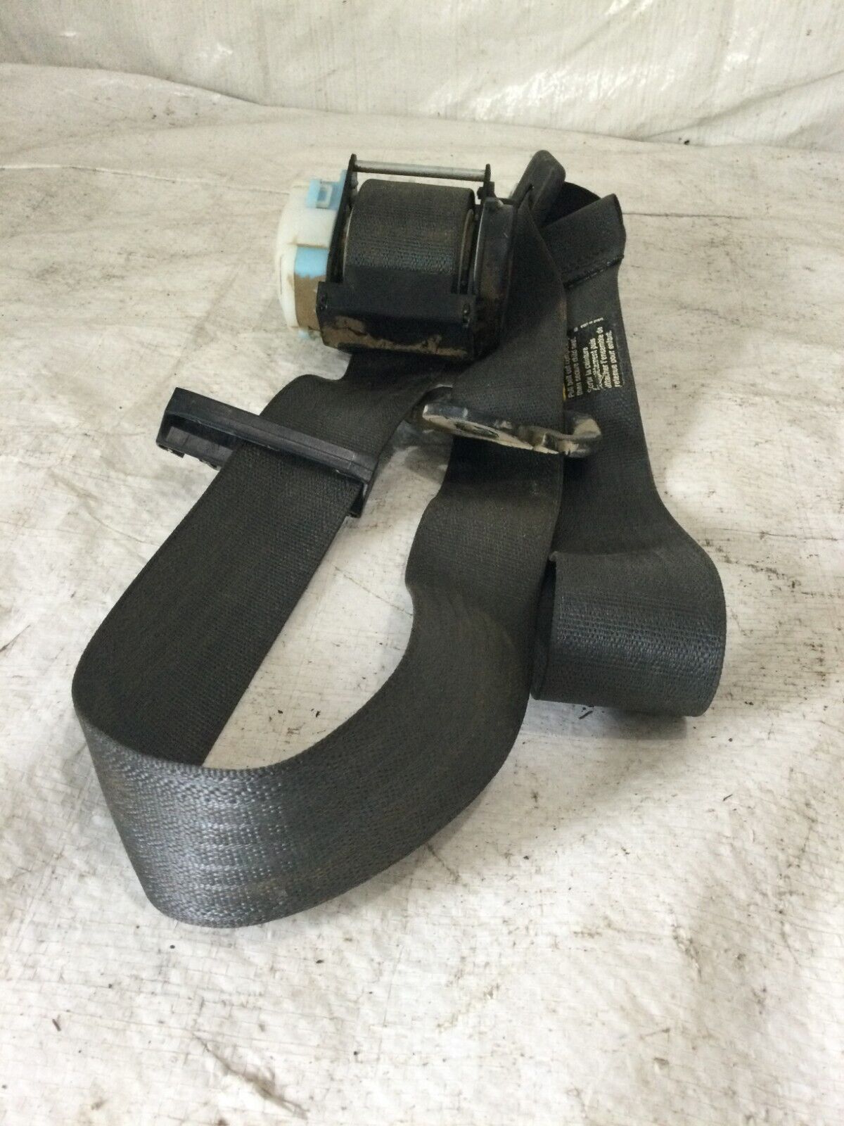 2005 Chevrolet Silverado 1500 Rear Right Seat Belt GM 15249689 OEM