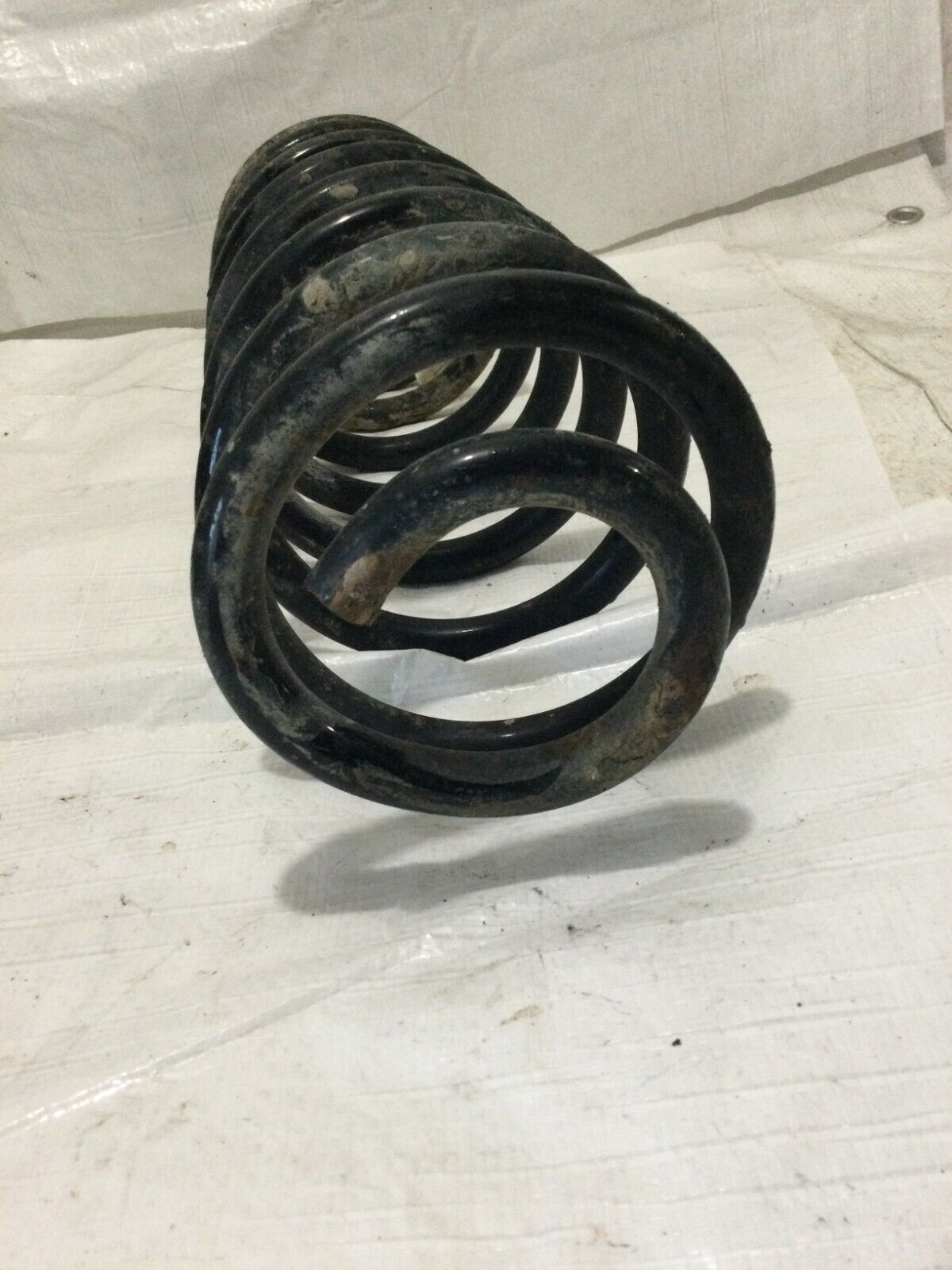 2017 RAM 1500  Rear Coil Spring  OEM