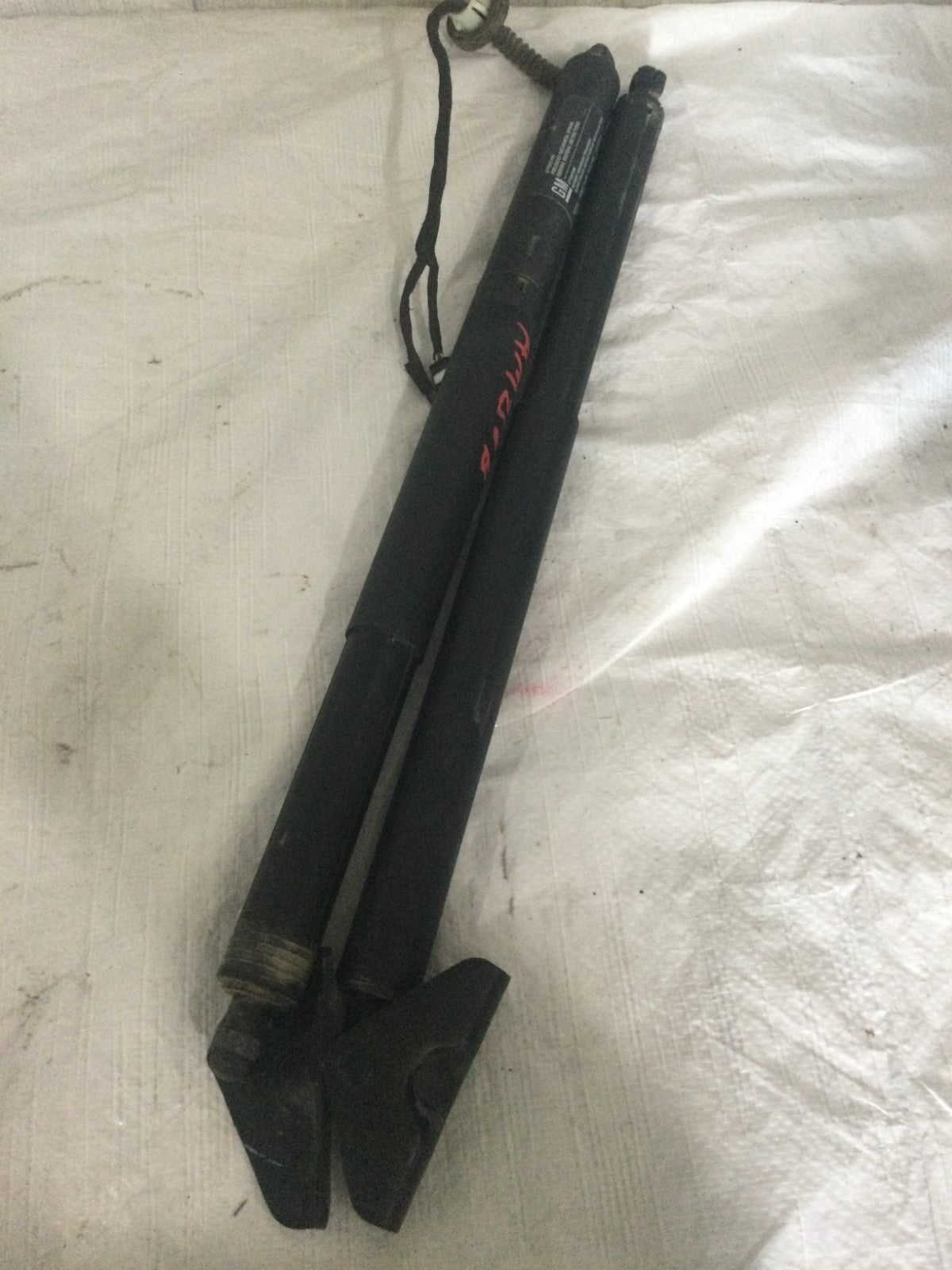 2019 Chevrolet Blazer Trunk Power Shocks Left and Right 84398351 OEM