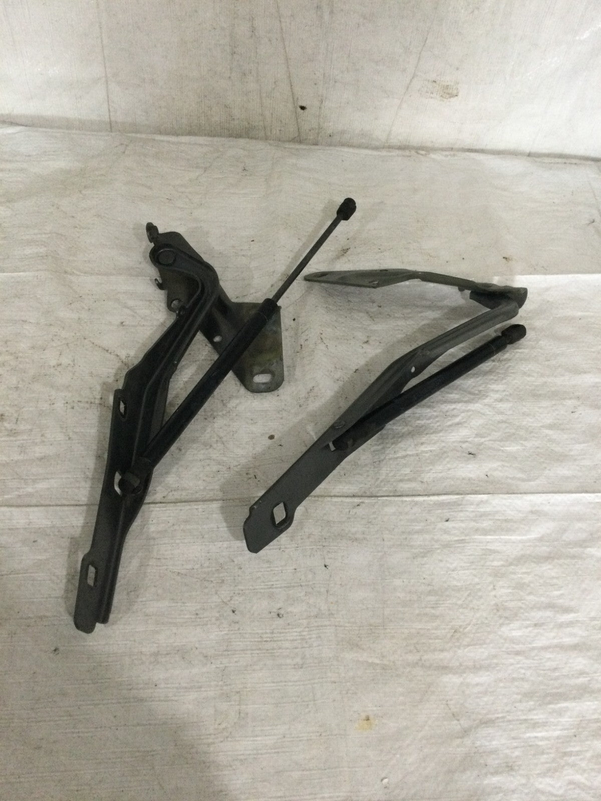 2018 Ford F-150 Hatch Support Struts Set OEM