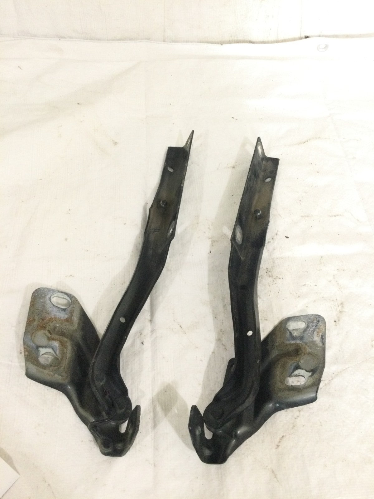 2007 Dodge Ram 1500 Hood Hinges Set Pair OEM
