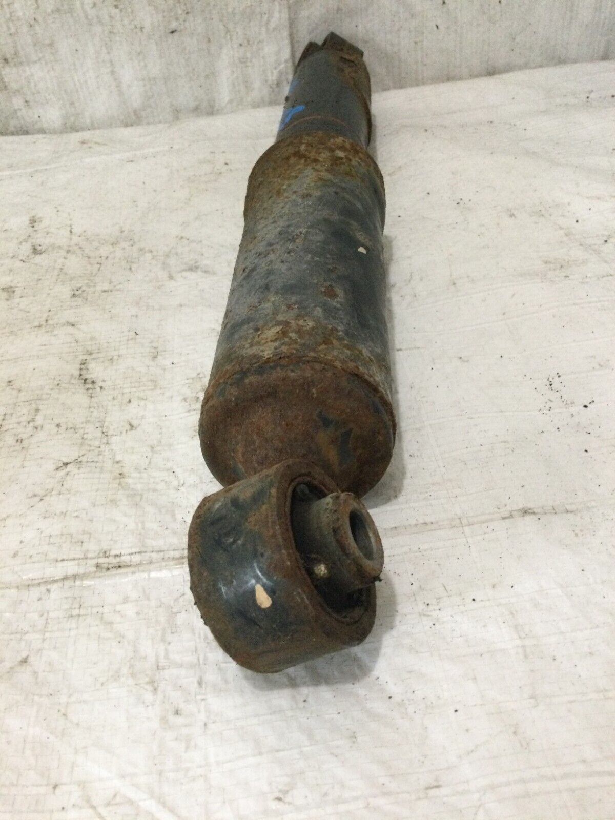2016-2018 Toyota Rav4 Rear Left Driver Side Shock Absorber OEM