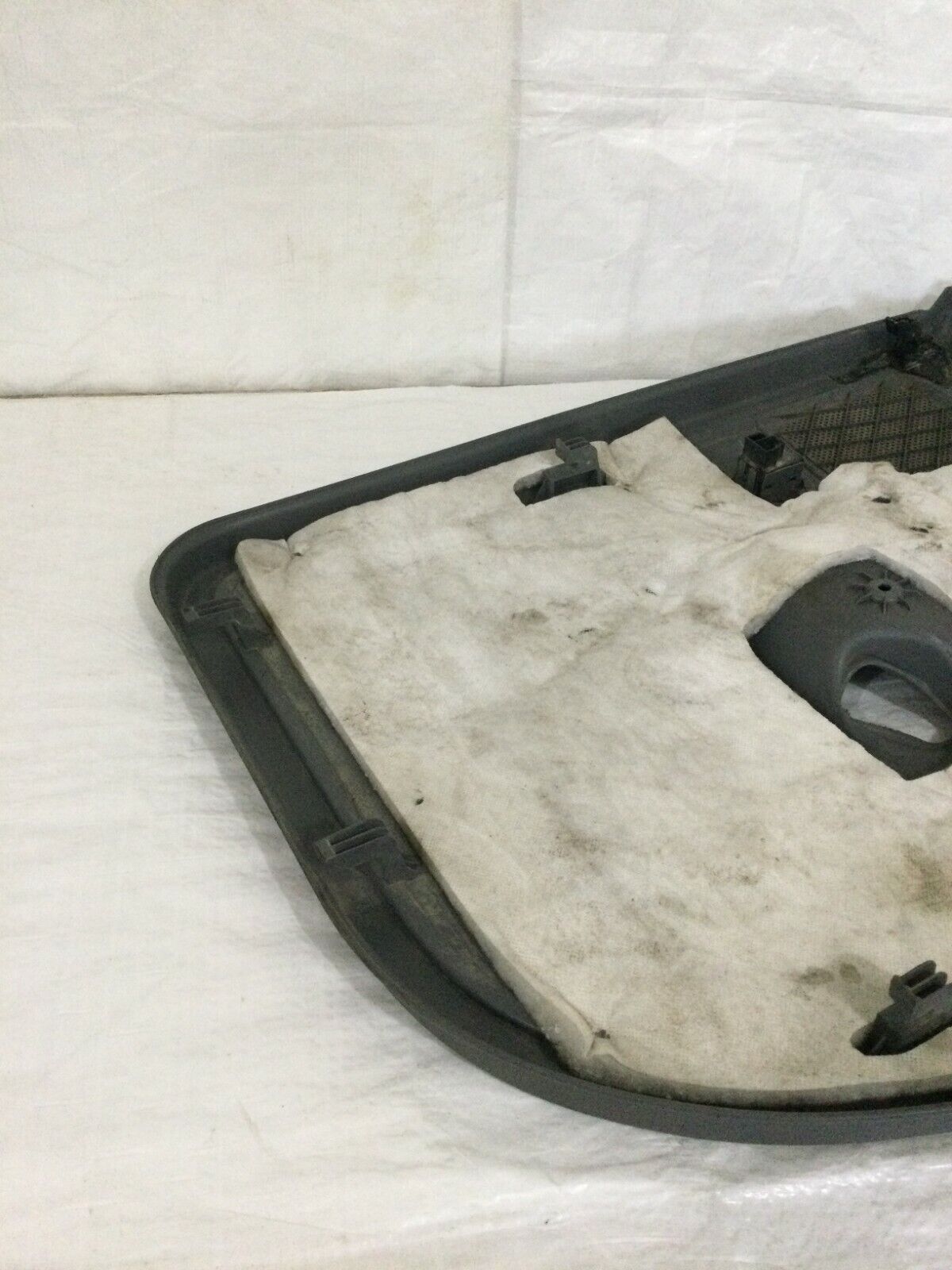 2006-2007 Dodge Ram 3500 Rear Left Driver Door Interior Trim Panel OEM