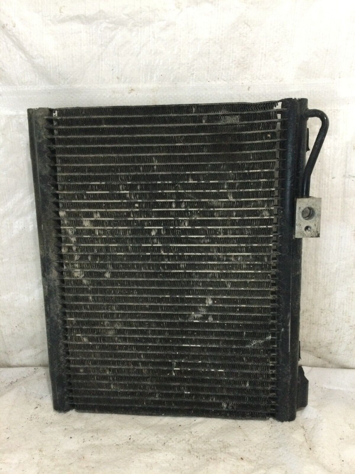 2004 Dodge Ram 1500  Condenser Assembly 993AA OEM