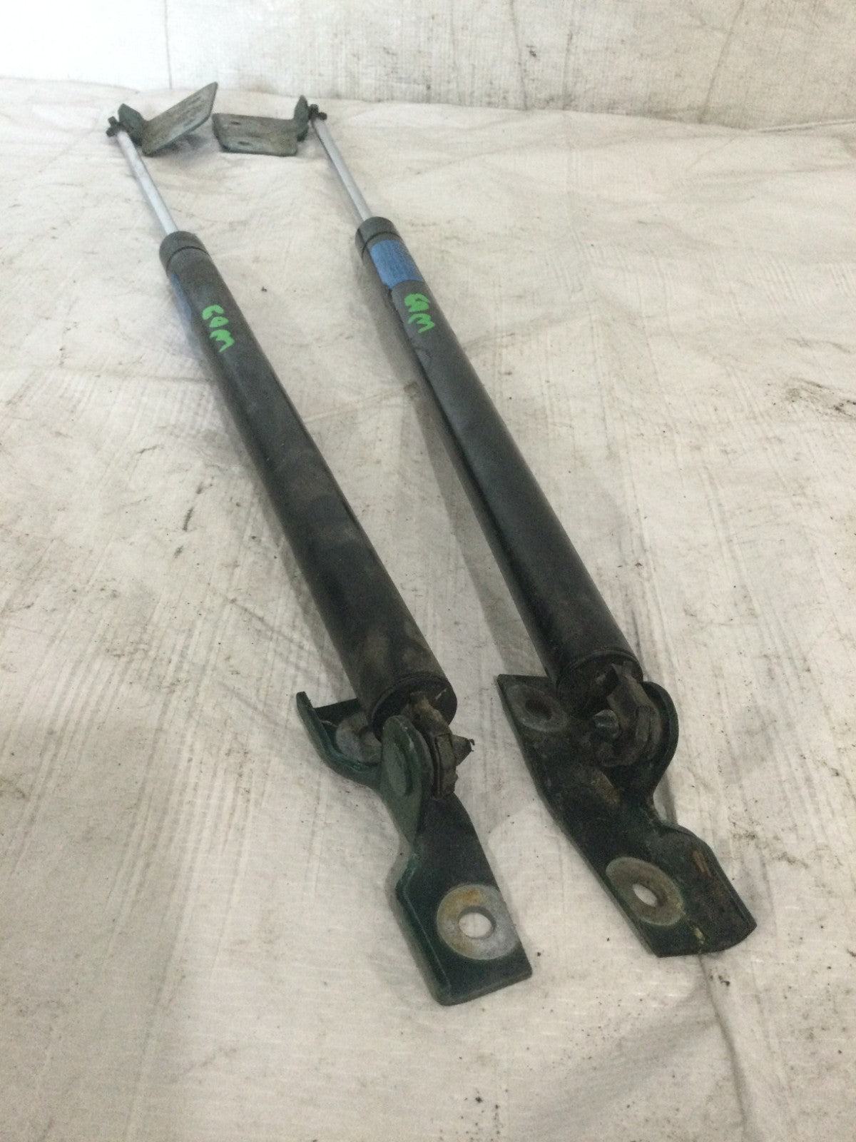 1997 Cadillac Seville Hood Lift Supports Struts OEM