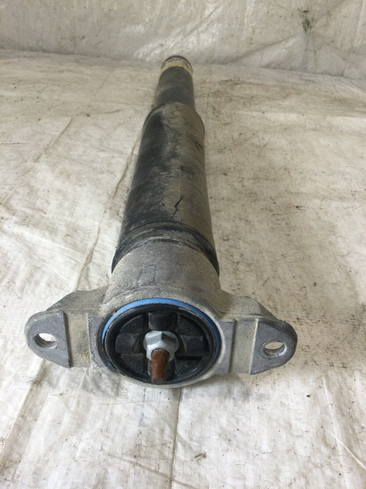 2019 Ford Escape  Rear Left Shock Absorber OEM