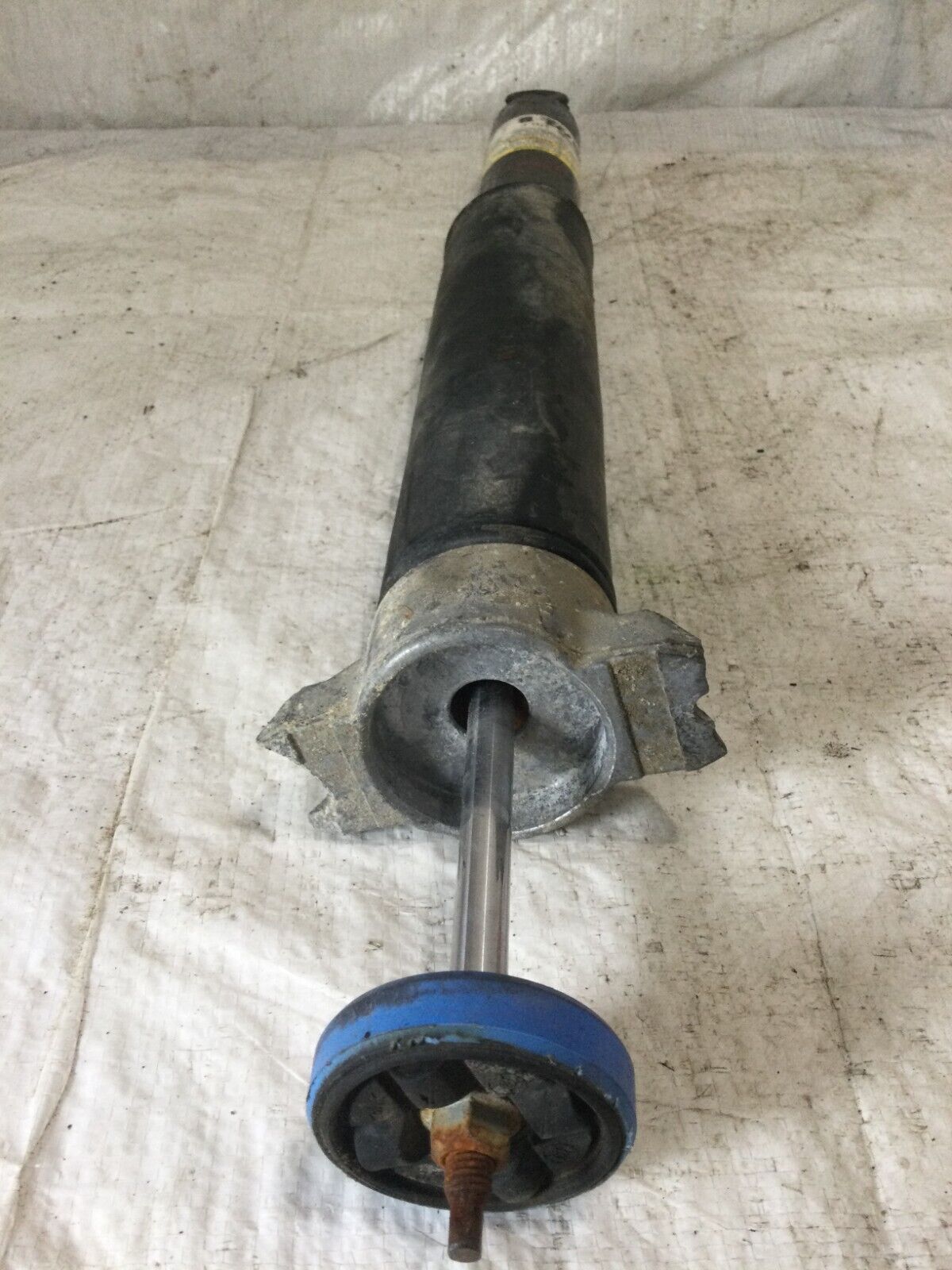 2019 Ford Escape Rear Right Strut Shock  Absorber  OEM