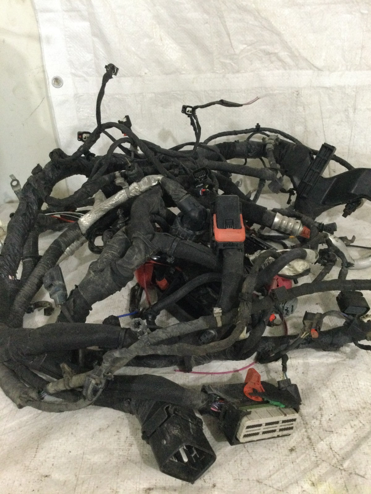 2021 Dodge Ram 3500 Transmission Wiring Harness OEM 68516612AB