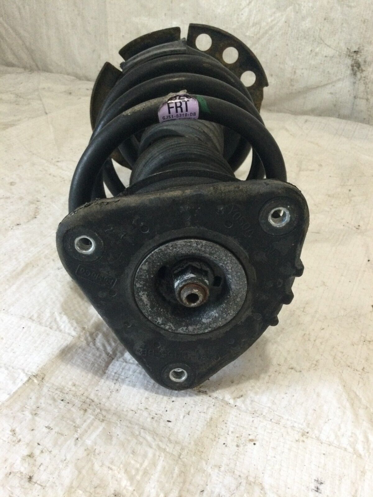2017-2019 Ford Escape Strut Shock Absorber Front Right RH OEM GJ51 5310 DB