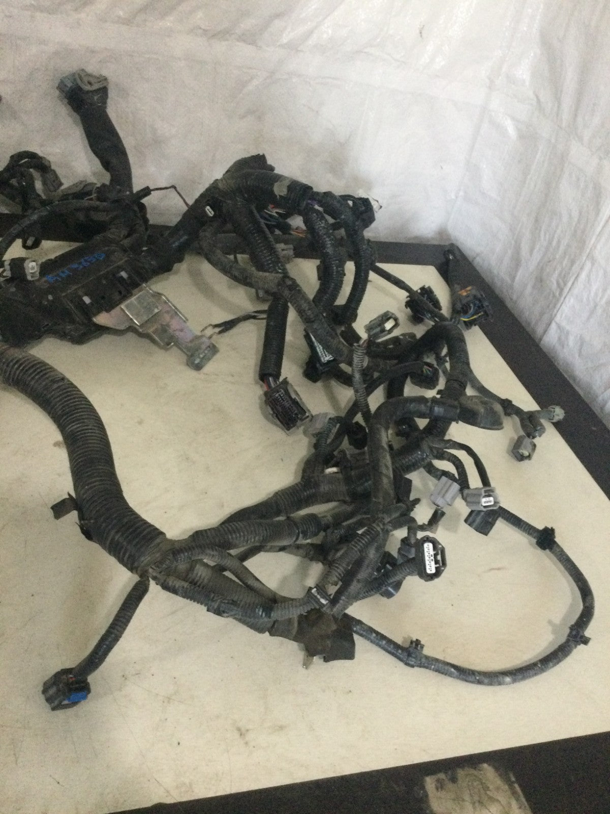 2024 Nissan Rogue 1.5L Engine Wiring Harness OEM