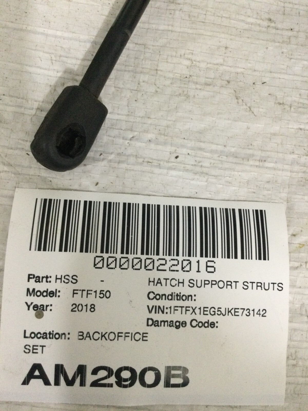 2018 Ford F-150 Hatch Support Struts Set OEM