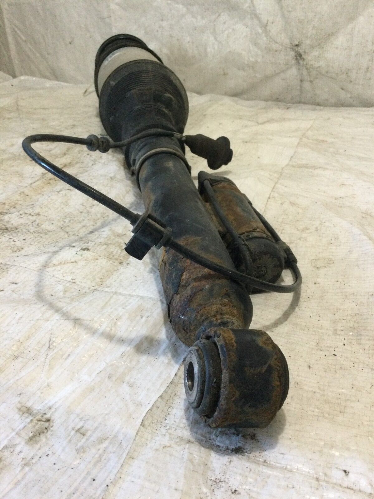 2004 Mercedes-Benz S-Class Rear Right  SHOCK ABSORBER C08605405 OEM