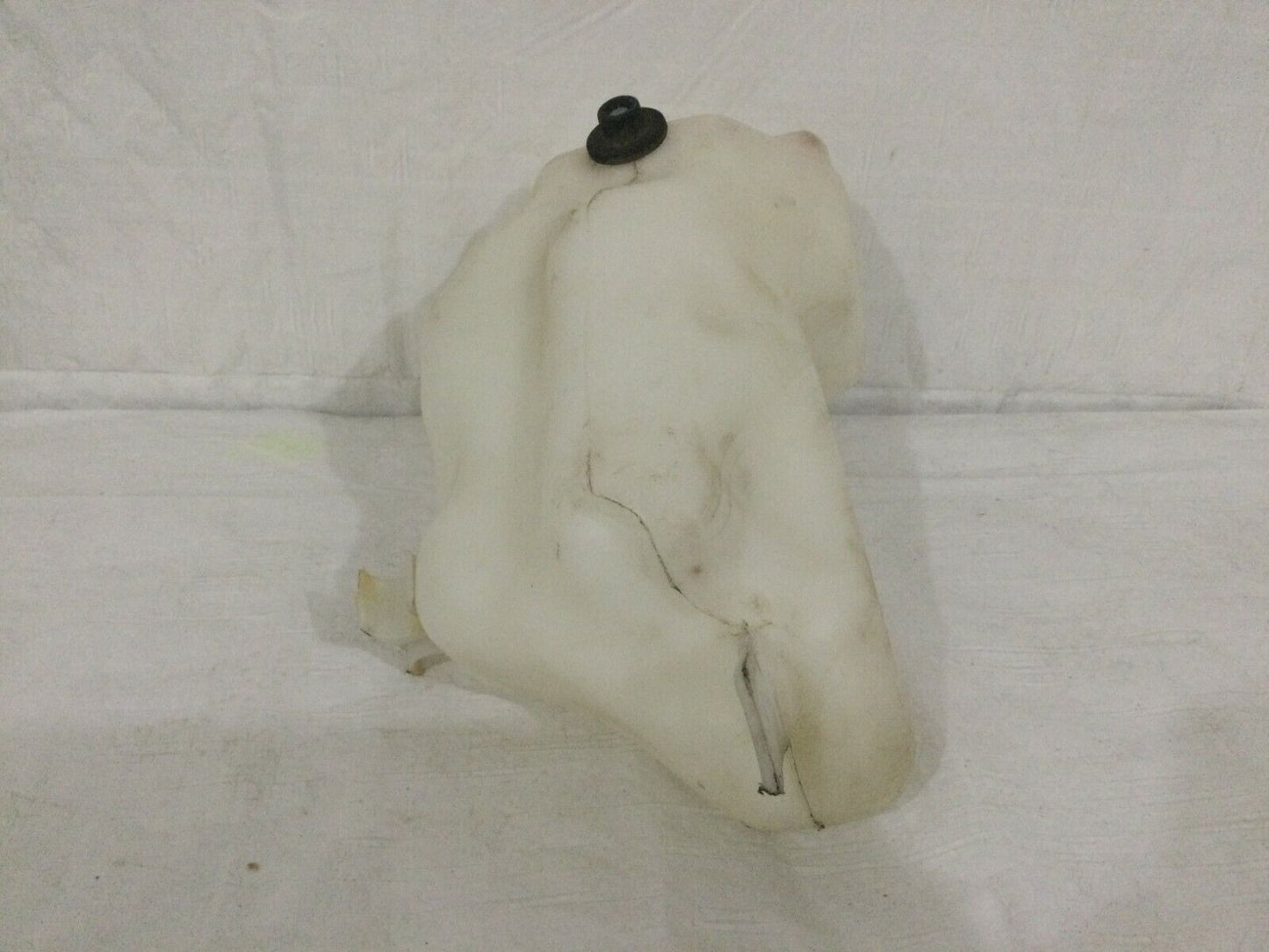 2003-2006 Mercedes Benz W211 E55AMG Windshield Washer Fluid Reservoir OEM 5.4L