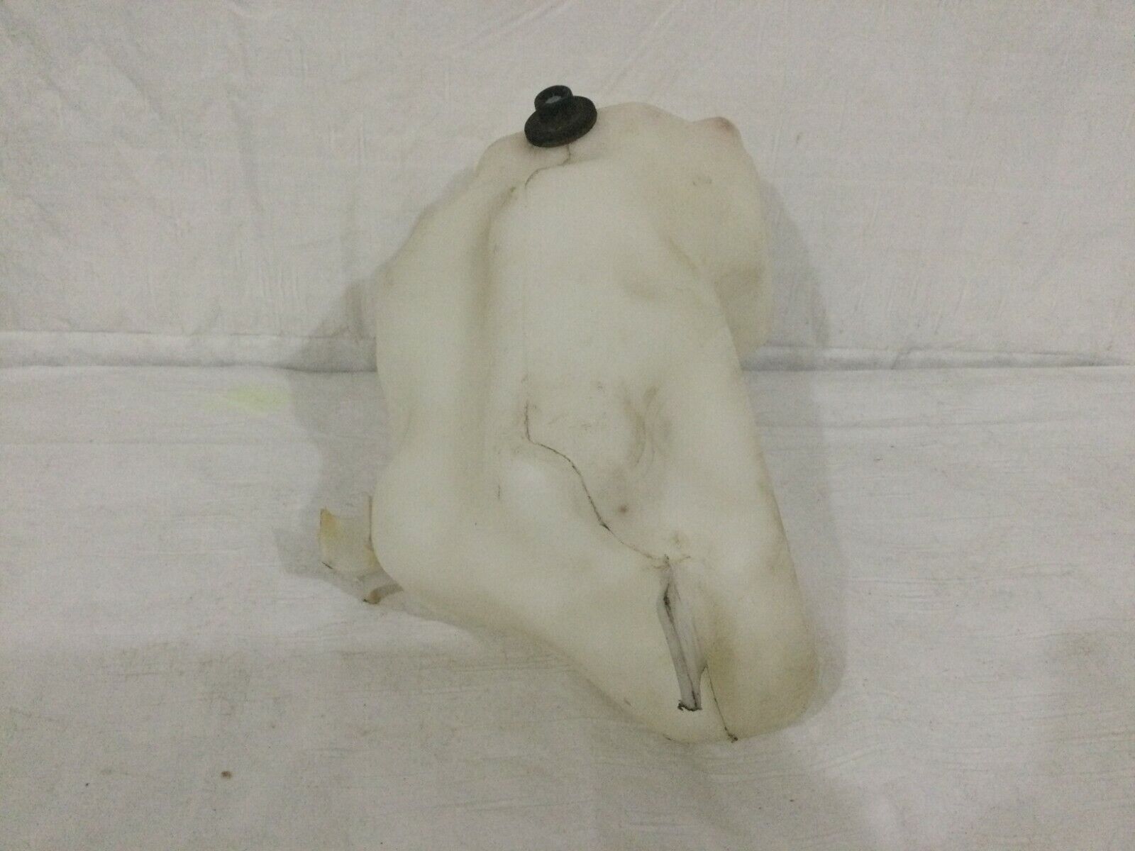 2003-2006 Mercedes Benz W211 E55AMG Windshield Washer Fluid Reservoir OEM 5.4L