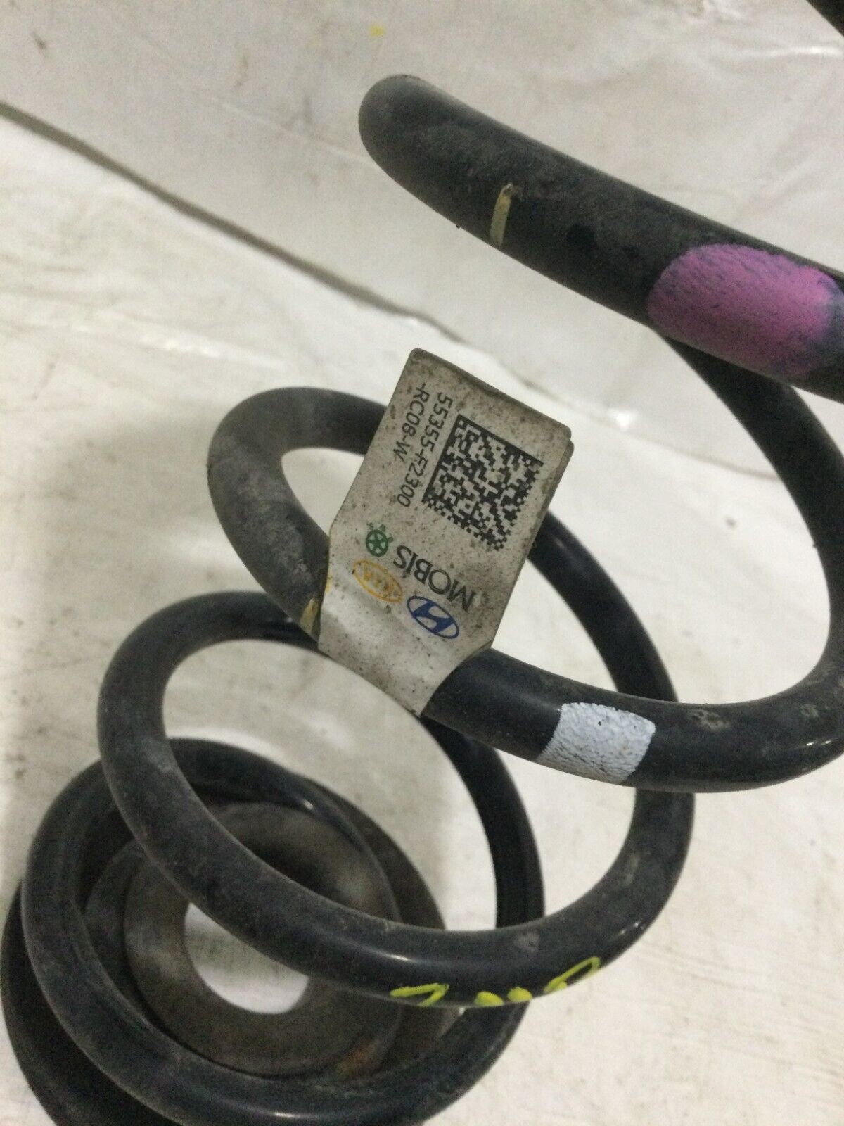 2017-2019 Hyundai Elantra Sedan Rear Suspension  Right Coil Spring OEM