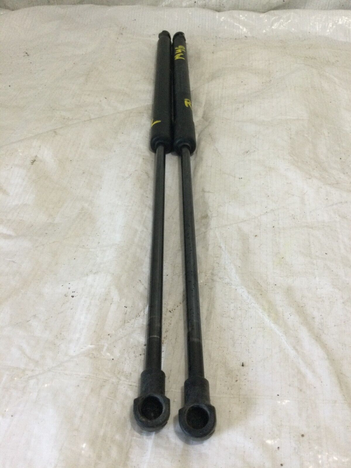 2004-2009 Toyota Prius Hatch Support Struts Pair OEM