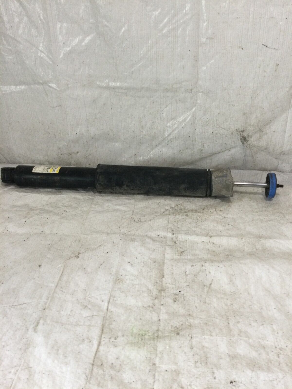 2019 Ford Escape Rear Right Strut Shock  Absorber  OEM