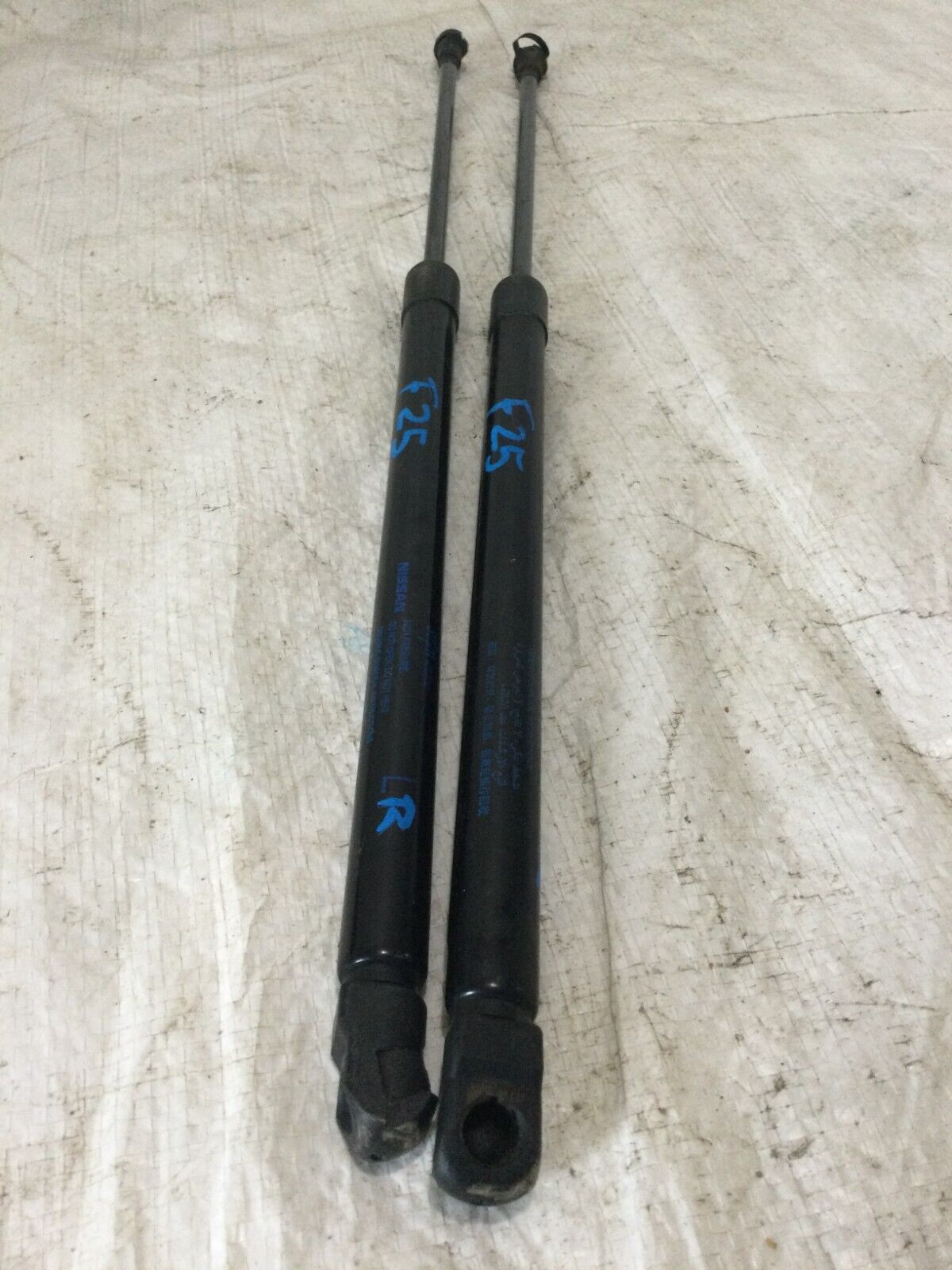 2017 Nissan Rogue Sport  Set Hatch Support Struts OEM